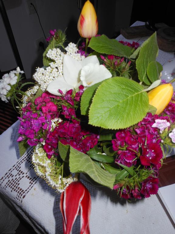 Bed and Breakfast Fonagy Es Walter Vendeg- Es Borhaz Вац Номер фото
